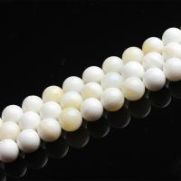 Natural Freshwater Shell Beads Round Sold By Strand