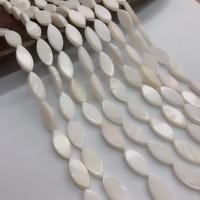 Natürliche Süßwasser Muschel Perlen, Pferdeauge, verkauft von Strang