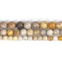 Chrysanthemum Stone Beads plated DIY Sold By Strand