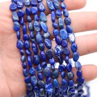 Perles Lapis Lazuli, Irrégulière, poli, DIY, couleur de lapis-lazuli, 6x9mm, Vendu par brin