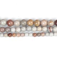Marine Fossil Beads, plated, DIY & different size for choice, more colors for choice, Sold By PC