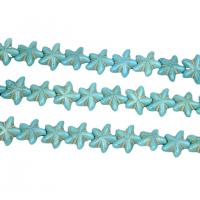 Turquoise Beads, Starfish, polished, DIY, turquoise blue, 22x8mm, Sold By Strand