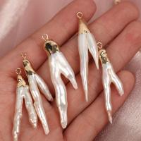 Freshwater Pearl Pendants with Brass irregular gold color plated DIY white nickel lead & cadmium free 40-50mm Sold By PC