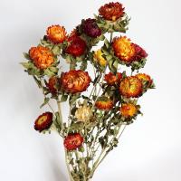 Dried Flower Dried Flowers, plated, durable, more colors for choice, 60-80cm, 2PCs/Lot, Sold By Lot