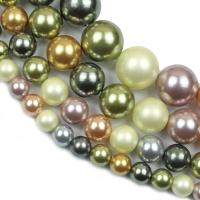 Natural Colored Shell Beads Shell Pearl Round polished DIY Sold By Strand