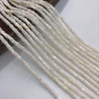 Natural Freshwater Shell Beads Column polished white Sold Per Approx 39 cm Strand