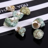 Trumpet Shell Beads, mixed colors, 45x35mm, Sold By Strand