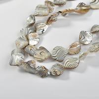 Natürliche Süßwasser Muschel Perlen, bunte Farbe plattiert, DIY, keine, 16-25mm,14-21mm, 18PCs/Strang, verkauft von Strang