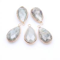 Gemstone Pendants Jewelry Labradorite with Zinc Alloy Teardrop gold color plated DIY Sold By PC
