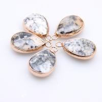 Gemstone Pendants Jewelry Dalmatian with Zinc Alloy Teardrop gold color plated DIY Sold By PC