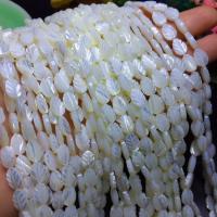 Perles en coquillage blanc naturel, coquille blanche, gravé, DIY & styles différents pour le choix, plus de couleurs à choisir, Vendu par brin