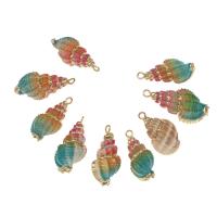 Shell Necklaces, with Brass, Conch, gold color plated, 45*18*5mm/32*25*2mm, Approx 10PCs/Bag, Sold By Bag