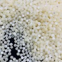Prirodni White Shell perle, Školjka, uglađen, bijel, 3mm, Prodano By PC