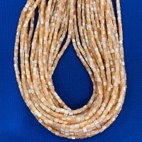 Natürliche Süßwasser Muschel Perlen, poliert, keine, 3.50x3.50mm, verkauft von Strang
