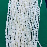 Natural White Shell Beads, polished, white, 8x12mm, Sold By Strand