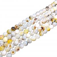 Nero-Lip-Shell perla, Cerchio, lucido, DIY & formato differente per scelta, bianco, assenza di nichel,piombo&cadmio, Venduto da PC