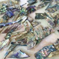Abalone Shell Decoration, irregular, DIY, 10-15mmx0.5-2mm, Sold By KG