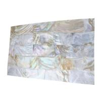 coquille d'eau douce Shell Sheet, rectangle, DIY, blanc, 240x140x0.50mm, Vendu par PC