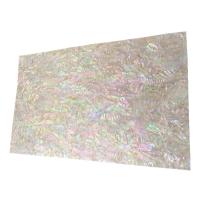 Abalone Shell Shell Sheet, Rektangel, du kan DIY, hvid, 240x140mm, Solgt af PC