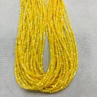 Natural Yellow Shell Beads Round polished DIY Sold By Strand