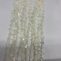 Prirodni White Shell perle, Školjka, uglađen, više boja za izbor, 8x10mm, Prodano By Strand