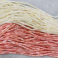 Natural Colored Shell Beads polished Sold By Strand
