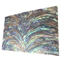 Abalone Shell Sheet, Rectangle, DIY, 240x140mm, Sold By PC