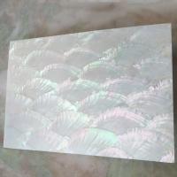 coquille Shell Sheet, rectangle, DIY, blanc, 240x140mm, Vendu par PC