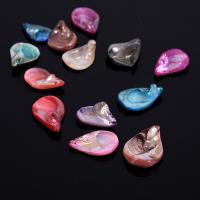 Shell Pendants, Freshwater Shell, DIY & no hole, Random Color, 30-35mmx17-25mm, Sold By PC
