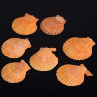 Shell Pendants, random style & DIY, orange, 70x83mm,60x65mm, 500G/Bag, Sold By Bag