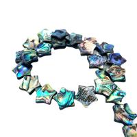 Abalone Shell Beads Star DIY Sold By PC
