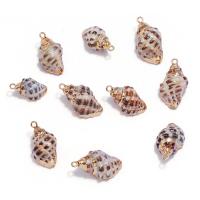 Natural Trumpet Shell Pendants Conch gold color plated DIY 20mm Sold By PC