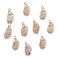 Natural Trumpet Shell Pendants, Conch, gold color plated, DIY, 20mm, Sold By PC