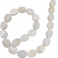 Natural Freshwater Shell Beads, Oval, DIY, white, 10x12mm, Sold By Strand