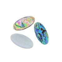 Shell Cabochons Abalone Shell Oval DIY Sold By PC