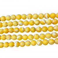 Natural Freshwater Shell Beads Trochus Round DIY yellow 10mm Sold By PC