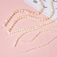 Natural Freshwater Shell Beads Round polished DIY white Sold By Strand