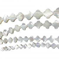 Natürliche Süßwasser Muschel Perlen, Turbanschnecken, DIY & verschiedene Größen vorhanden, weiß, verkauft von Strang