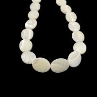 Natural White Shell Beads, Oval, polished, DIY & different size for choice, white, Sold By Strand