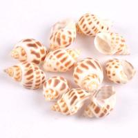 Natural Trumpet Shell Pendants, mixed colors, 30mm, Sold By PC