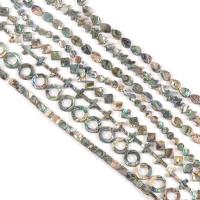 Perles coquillage d'ormeau, coquille, styles différents pour le choix, couleurs mélangées, 14x10x3.50mm, Vendu par brin