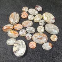 Agate Cabochon, Mexican Agate, polished, DIY & different size for choice & different styles for choice, more colors for choice, Sold By PC