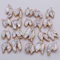 Freshwater Pearl Pendants, with Brass, irregular, gold color plated, DIY, white, nickel, lead & cadmium free, 15-22mm, Sold By PC