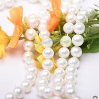 Perles de coquille colore naturelle, plus de couleurs à choisir, Vendu par brin