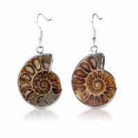 Shell Earrings, Ammolite Shell, with Brass, silver color plated, for woman, nickel, lead & cadmium free, 30mm, Sold By Pair