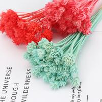 Artificial Flower Home Decoration, Dried Flower, durable & DIY, more colors for choice, 500mm, Sold By PC