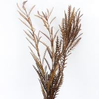 Artificial Flower Home Decoration, Dried Flower, durable & DIY, more colors for choice, 600mm, Sold By Bag
