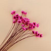 Artificial Flower Home Decoration, Dried Flower, durable & DIY, more colors for choice, 30mm, 50PCs/Bag, Sold By Bag