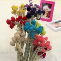 Sztuczny kwiat dekoracyjny, Suszonych kwiatów, Zrównoważonego & DIY, dostępnych więcej kolorów, 500mm, sprzedane przez torba