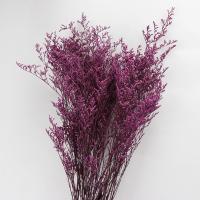 Artificial Flower Home Decoration, Dried Flower, durable & DIY, more colors for choice, 700mm, Sold By Bag